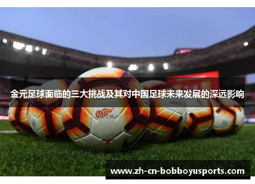 金元足球面临的三大挑战及其对中国足球未来发展的深远影响