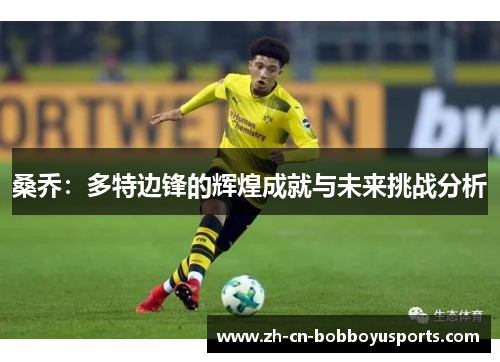 桑乔：多特边锋的辉煌成就与未来挑战分析